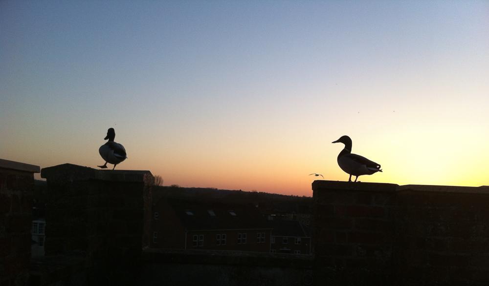 Folly Bridge House Apartment Oxford